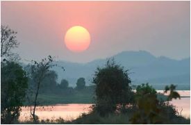 Climate Change Threatens Over One-Third of Terrestrial Habitats by 2085